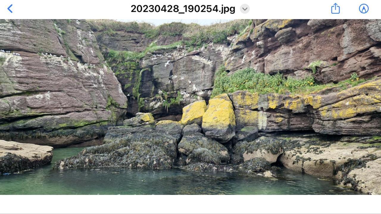 Sandy Cove Dunmore East Esterno foto
