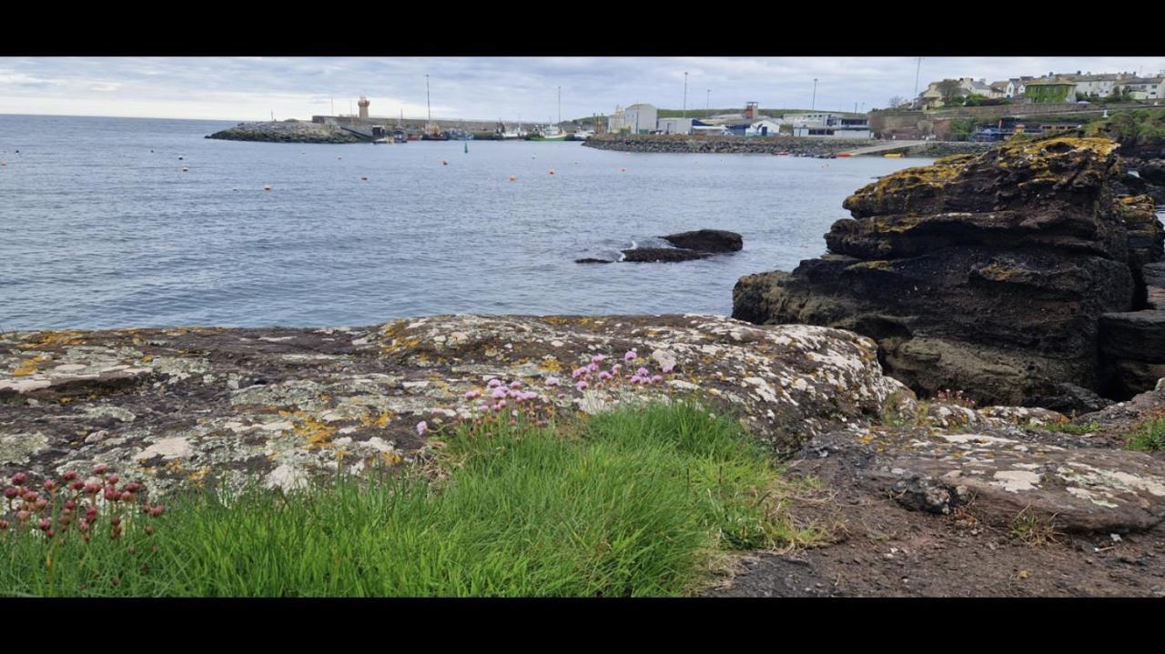 Sandy Cove Dunmore East Esterno foto